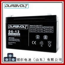 ¹DURAVOLTD12-115UPS豸 Ӧϵͳ12V-115AHܵ