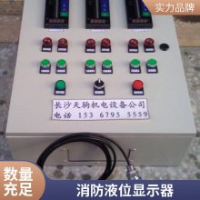 高低位消防水箱水位显示装置 WH311消防控制室液位显示器