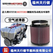 2179978-0 Z002100-4нӦSTEYRMOTORS÷