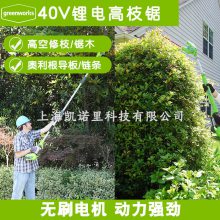 40V綯֦PSF301֦߸˳޼ֳֹ֦