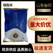 食品级植脂末 奶精 营养强化剂 用于冰淇淋奶茶乳制品