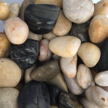 天津鱼缸造景鹅卵石园林鹅卵石厂家价格