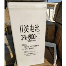 ʥGFM-600άػ糧豸2V600AH