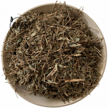 中药材丁癸草苦地枕铺地锦丁贵草乌蝇翼草铺地草一条根乌龙草