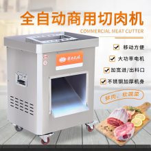 多功能切肉机 鲜肉自动切肉片机