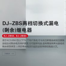 josefԼɪ ©̵DJ-ZB1򻥸DH-30L 30/100mA /尲װѡ