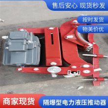 YWZBCJ-200/25 鼓式制动器 YT1CJ-25Z/4 电力液压推动器