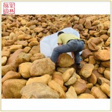 江苏黄蜡石吨位石-小型点缀-黄蜡石价格-黄石厂家
