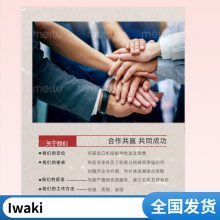Tuthill 泰悉尔 # K11491带脚铸铁旋转齿轮泵磁力泵