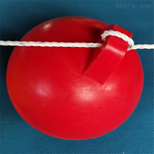 ֱ30cm˫ʾ ˮʩΣվʾ
