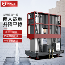 YZ-DSϵƽ̨ ֱʽ˫Ͻ 200kg˫˸߿ҵ
