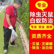 上海 松江区捕鼠公司 上门抓老鼠灭鼠堵洞灭蟑螂 单位除四害灭蚊蝇