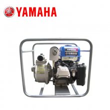 ԭװYP20Gͷ2ˮ԰ũóˮȻˮ50ھ