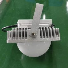 NFC9192- 100W IP66 LEDƽ̨ NFC9192-100W