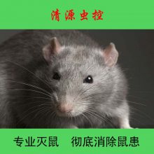 Դؽ󷽷Уԣ