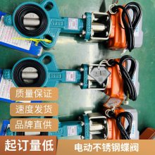 ɭD971X-16 DN125Լʽˮõ綯 ȼIP67綯