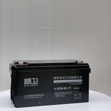 6-GFM-65YT12v6***h