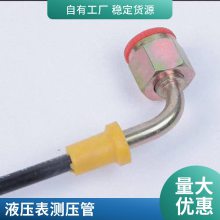 CNG输送树脂软管 尼龙耐油管 高压增强测压管 加气软管总成