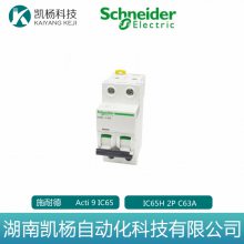 全新施耐德 iC65系列IC65H 2P C63A小型斷路器Schneider Electric