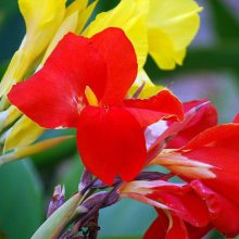 �����ر����ܻ���_�Ϸ��ر����ܹ�����