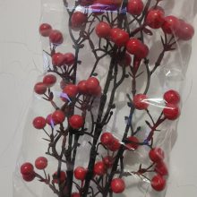 ෢ƹ28 ͰڼҾӾƵ᳡ 滨ٻ