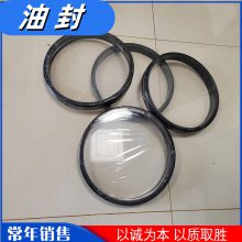 TLD0A1830-2FP浮动油封 SGZ764/320浮动环 矿用链轮组件密封油封