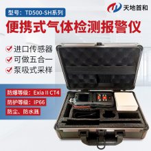 便携式乙醛检测报警仪TD500-SH-C2H4O 防护等级IP66