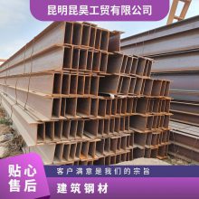 H型钢 用途广 耐腐蚀 其他加工服务 规格齐全 热轧