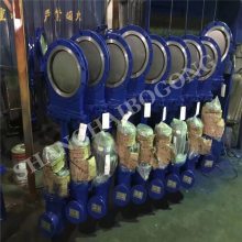 ӦPZ273X-16C Һ˵բ DN500 ҺҺ йӦ