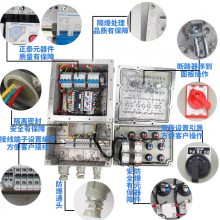  IP54 IIBT4ѹ䶯
