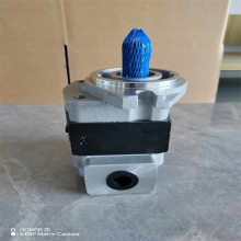 泵SGP2ϵҺѹ SGP2-23ֱ 泵ͱ