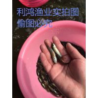 ֱֳ  i ŷ޶i 