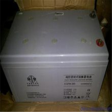 石家庄网络机房配套设备双登蓄电池12V50AH免维护铅酸蓄电池