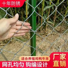 河北煤矿编织菱形网厂供应学校操场防护网学校体育场围栏