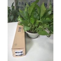 ӦQ-LIGHT źŵST45L