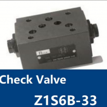 ʽCheck Valve Z1S6B-33