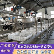 高效自动冲浆豆腐机 大型嫩豆腐机生产厂家 豆制品机械设备