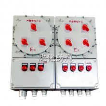 加药泵防爆控制箱 IP65照明动力配电箱 按钮操作电磁启动器