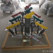 10KV˫ԶлZW32-12FGG/1250ѹŹֽ翪