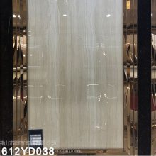 ͨʯש600X1200 900X900 800X800 600X600