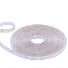 飛利浦BGC401 LED霓虹燈帶IP66