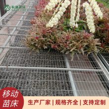 紲 ֲ Ѩ ҡʽ紲