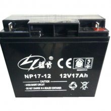  NP17-12 12V17AHά ӦEPSԴ/