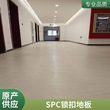 SPC石塑锁扣地板防水 PVC塑胶室内翻新装修4.2mm家装