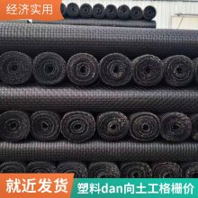 世杰 TGDG单向拉伸塑料土工格栅 路基增强 挡土墙加筋