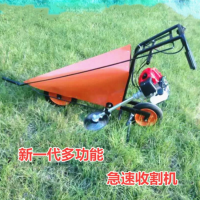 ʽո ɽµغո ũո