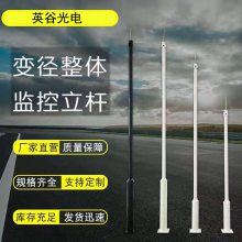 小区道路监控杆 2.5米3米4米监控杆价格加厚L臂镀锌摄像机支架枪机立柱可定制