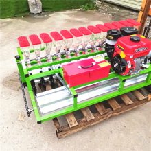 Ӧʽ߲˲ֻ 㾫 ҩĹֲ