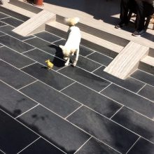 Ȼʯש Ȼڰʯ ԰ְʯ·ʯ
