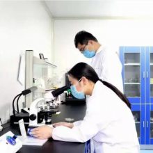 �ɶ�������������ⱨ��ɶ�����������������������